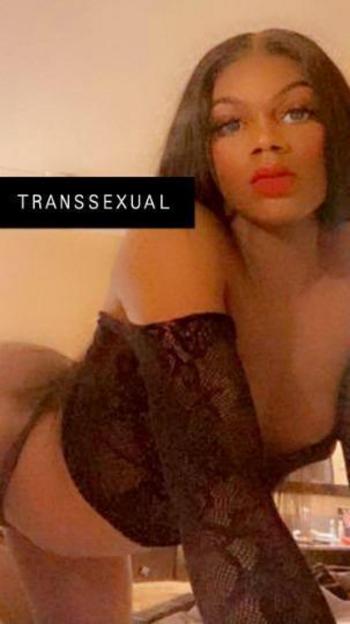 3035007310, transgender escort, Denver