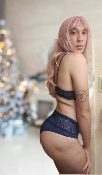 3462748702, transgender escort, Denver