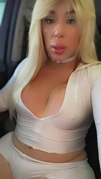 3464500673, transgender escort, Denver